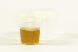 fake pee sample